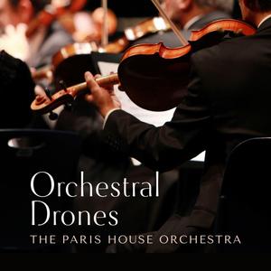 最新国产美女菊爆在线
